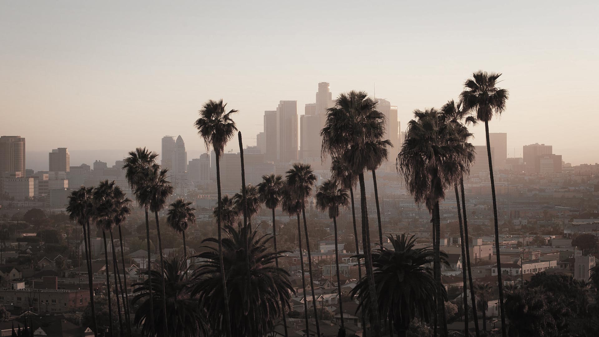 Sergio Garcia capturing music photography as a leading Los Angeles photographer, Fashion model posing during a photoshoot with Los Angeles photographer Sergio Garcia, Corporate headshot session by Los Angeles photographer Sergio Garcia, Editorial photography featuring a Los Angeles landmark by Sergio Garcia, High-quality e-commerce product photography by Sergio Garcia in Los Angeles, Celebrity portrait taken by Sergio Garcia, one of the top Los Angeles photographers, Lifestyle photography showcasing daily life in Los Angeles by Sergio Garcia, Healthcare product photography by Sergio Garcia in a Los Angeles medical facility, Graduation portrait by Los Angeles photographer Sergio Garcia, Environmental portrait by Sergio Garcia highlighting the Los Angeles landscape
