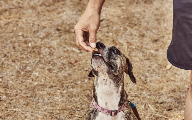 advertising photographer, commercial photographer near me, advertisement photographer, commercial photography near me, advertising photographers near me, professional advertising photographer, advertising photography los angeles, professional advertising photography, commercial photographer la, los angeles advertising photographer, creative photography ads, lifestyle photographer near me, lifestyle photography near me, lifestyle photography new york, lifestyle fashion photography, lifestyle photography nyc, portrait and lifestyle photographer, best lifestyle photographers, best lifestyle photography, fashion lifestyle pictures, lifestyle photographer los angeles, LA lifestyle photographer, lifestyle photographer texas, pharmaceutical photographer, pharmaceutical photography, sergio garcia photography