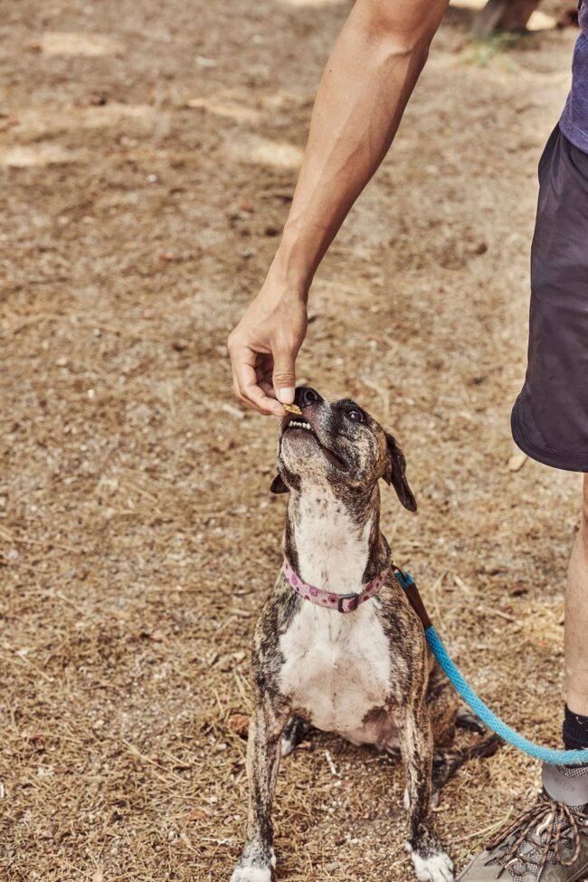 Commercial photographer in Los Angeles shooting a brand campaign, Los Angeles commercial photographer at a product photoshoot, Professional commercial photography in action in Los Angeles, Capturing dynamic brand images with a commercial photographer in LA, High-end commercial photography for advertising in Los Angeles, Creative commercial photographer in Los Angeles focusing on brand storytelling, Commercial photographer in LA setting up for a corporate shoot, Los Angeles's commercial photography scene with a professional photographer, Engaging commercial images taken in Los Angeles, Commercial photographer in Los Angeles specializing in business marketing visuals