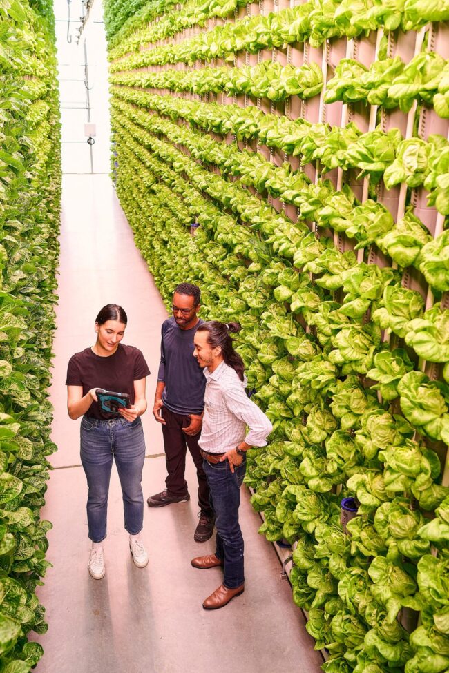 Los Angeles lifestyle photographer capturing a beachside moment, Candid shot by a lifestyle photographer in downtown LA, Vibrant Los Angeles lifestyle photography session in an urban setting, Lifestyle photographer in Los Angeles portraying a day in the city life, Authentic Los Angeles lifestyle photo capturing the city's dynamic culture, Sunset photoshoot with a Los Angeles lifestyle photographer, Stylish and contemporary lifestyle photography in Los Angeles, Los Angeles lifestyle photographer shooting at a trendy café, Capturing the laid-back vibe of LA with a lifestyle photographer, Los Angeles lifestyle photographer framing an outdoor adventure