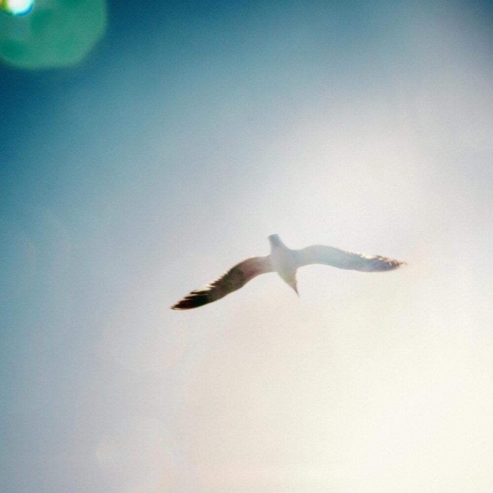 Professional pharmaceutical photography in a Los Angeles lab, Close-up of medication captured through pharmaceutical photography in Los Angeles, High-tech pharmaceutical photography showcasing medical advancements in LA, Detailed product shot by a Los Angeles pharmaceutical photographer, Pharmaceutical photography in Los Angeles depicting modern healthcare solutions, Precision-driven pharmaceutical photography in a Los Angeles facility, Los Angeles photographer capturing the essence of pharmaceutical research, Innovative pharmaceutical products photographed in a Los Angeles studio, Clean and crisp pharmaceutical photography in a Los Angeles lab setting, Pharmaceutical photography in Los Angeles focusing on industry breakthroughs
